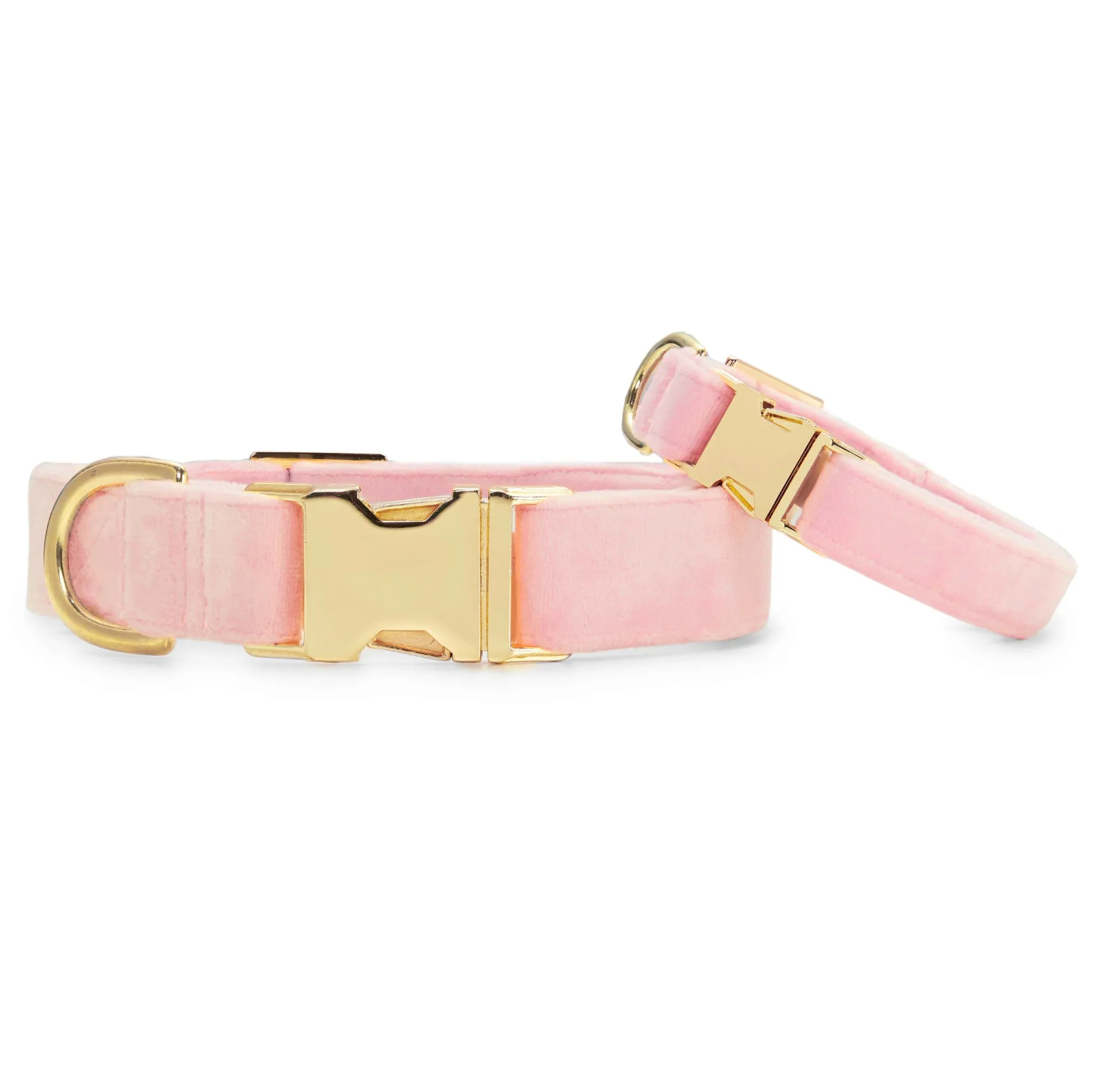 Blush Pink Velvet Dog Collar